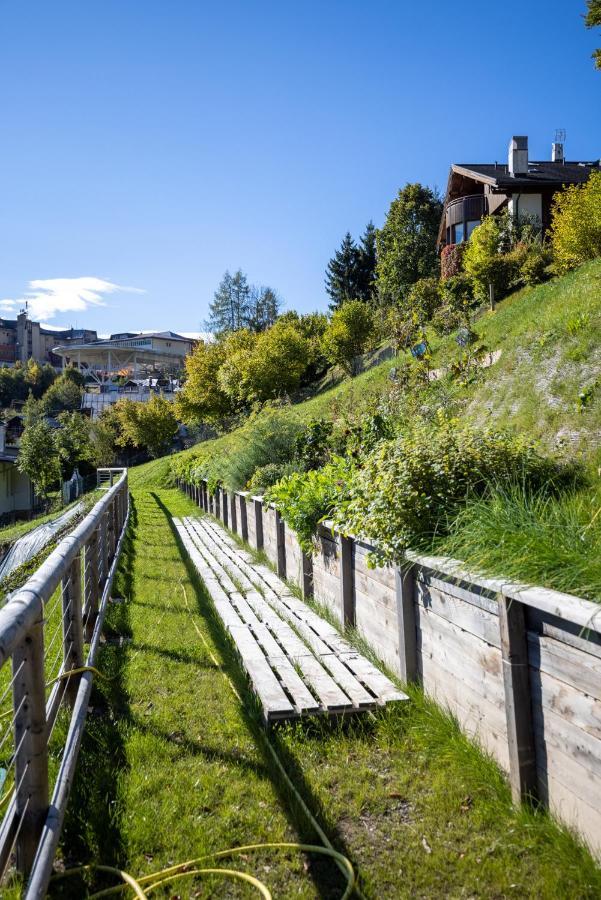 Giallo Dolomiti Wellness Pieve di Cadore Eksteriør bilde
